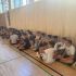 03_FR_Schulolympiade2.jpg